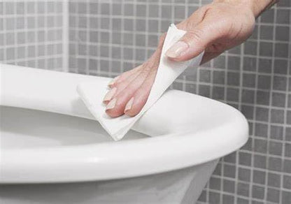 Flex Wipes Disinfectant Wipe 20075, Includes Six (6) 75-count Canisters, 8" x 6" wipes