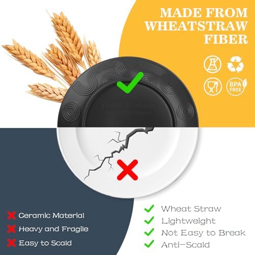 40 PCS Plate and Bowl Set, Wheat Straw Dinnerware Sets for 8(Black)