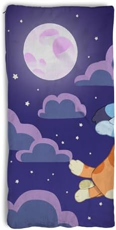 Silk Touch Sherpa Slumber Bag for Boys and Girls, Sleeping Bag with Zipper, Sleepover Set, 27 x 56 inches
