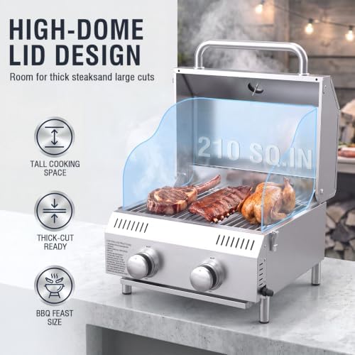Bestfire 2-Burners Tabletop Propane Grill, 20,000 BTU