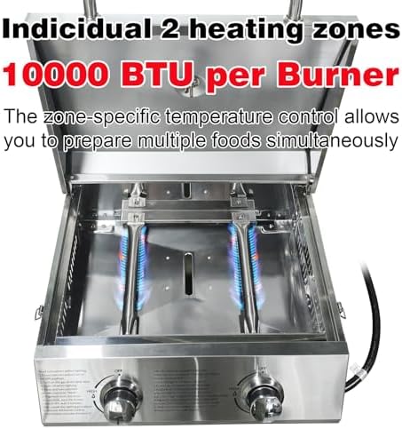 2-Burner Small Tabletop Gas Grill, 20,000 BTU Stainless Steel Grill