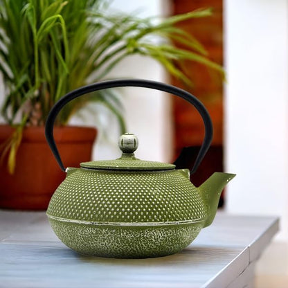 Cast Iron Teapot Tea Kettle with Stainless Steel Infuser for Stovetop Safe Coated with Enameled Interior Japanese Green Tetsubin for Loose Tea(30.4oz/900ml)