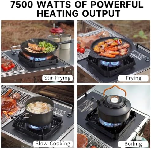 Portable Camping Stove, 25591 BTU, Folding Gas Stove, 304 Stainless Steel, Windproof, Electronic Ignition, Rotary Flame Control, Carry Bag Included, Matte Black, for IGT Table, Outdoor & RV Cooking.
