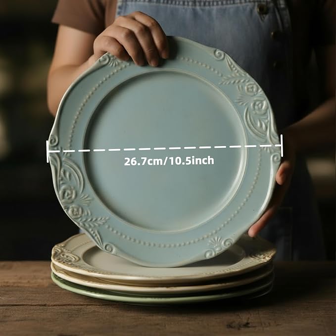 salad plates set of 4, 10.5 inch Reactive Glaze Stoneware Dinner Dish Set
