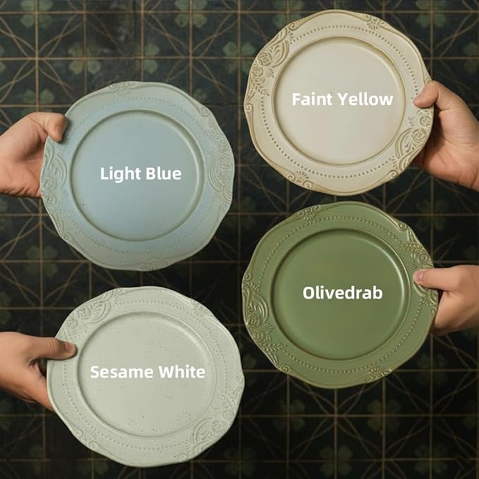 salad plates set of 4, 10.5 inch Reactive Glaze Stoneware Dinner Dish Set