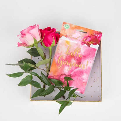 WillowBrook | Fresh Scents Scented Sachet Packet | Hello Gorgeous | Air Freshener Bags for Drawers, Closets, Cars | 6 Pack | Long Lasting Home Fragrance