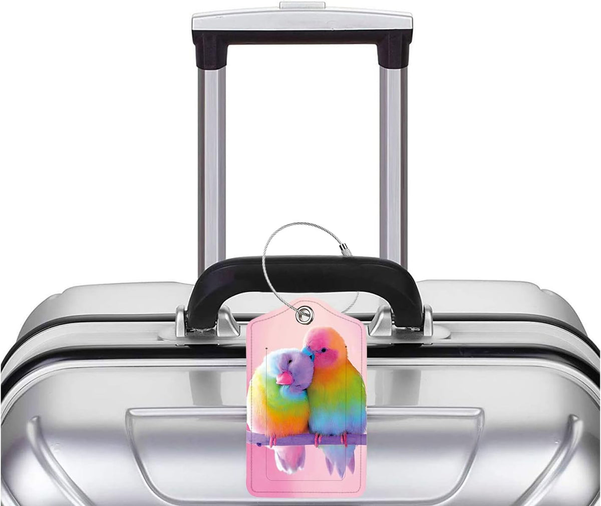 2 Pack Luggage Tag for Suitcase, Cute Unique Leather Bag Tags Identifiers Privacy Cover ID Label with Durable Steel Loop for Women Men Kids Girls Travel,Bird
