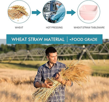 Teivio 16-piece Plastic Wheat Straw Square Dinnerware Set