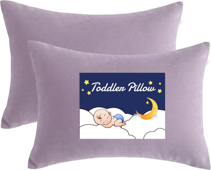 NTBAY Toddler Pillows, Down Alternative 13"x18" Pillows, Machine Washable - Soft and Breathable Travel Small Pillows for Sleeping, Ideal for Daycare, Crib, Cot, Lavender