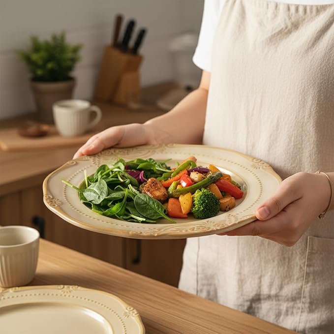 salad plates set of 4, 10.5 inch Reactive Glaze Stoneware Dinner Dish Set