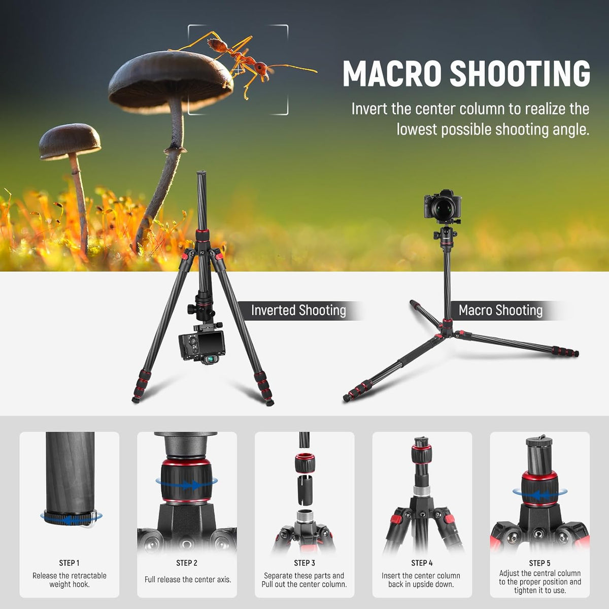 NEEWER 66"/168cm Carbon Fiber Tripod for Camera with 360° Panorama Ball Head, 1/4" Arca QR Plate, Portable Bag, Compact Travel Tripod Monopod for DSLR Video Camcorder, Max Load 26.5lb/12kg, N55C