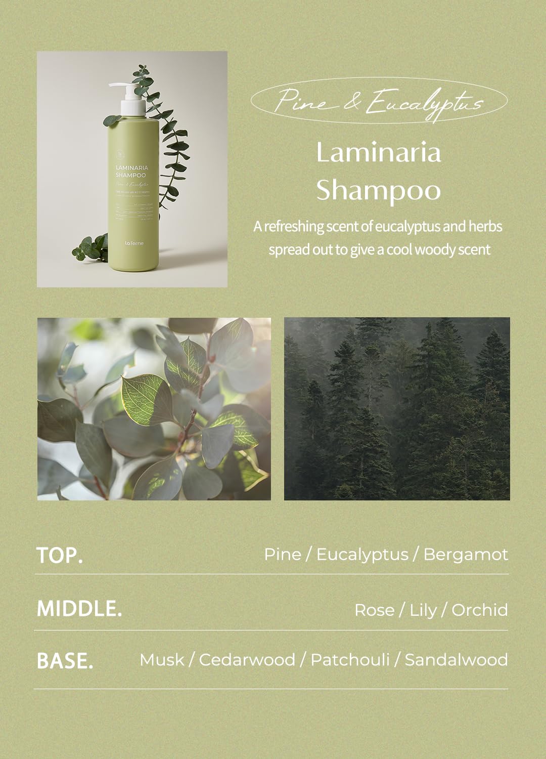 laferme Laminaria Shampoo with Organic Ingredient, Korean Clarifying Shampoo, Hydrating for Dry Hair, Strengthening for Weak Hair, Sulfate & Paraben-Free, for Women & Men, 33.8 FL OZ, Pine Eucalyptus