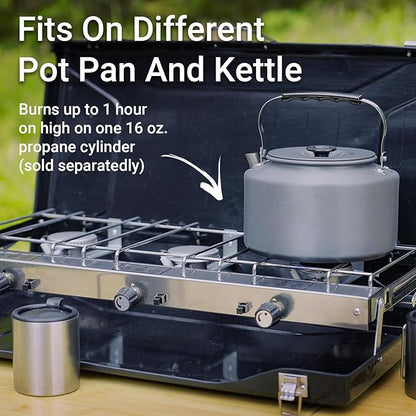 Camping Stove, 3 Burner Propane Portable Camp Stove with Regulator, Push-Button Instant Ignition, Portable Camp Grill, Adjustable Burners for Car Camping Outdoor Cooking (BLACK-19800 BTUs)
