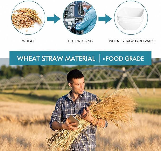 Teivio 16-piece Plastic Wheat Straw Square Dinnerware Set