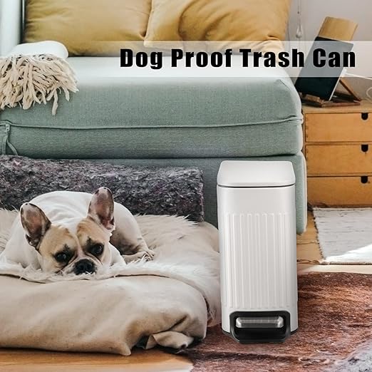TrashAid Slim Bathroom Trash Can with Lid Soft Close, 6 Liter/1.6 Gallon Stainless Steel Small Garbage Can with Removable Inner Bucket, Step Pedal, Slim Wastebasket for Toilet, Office, Bedroom, White
