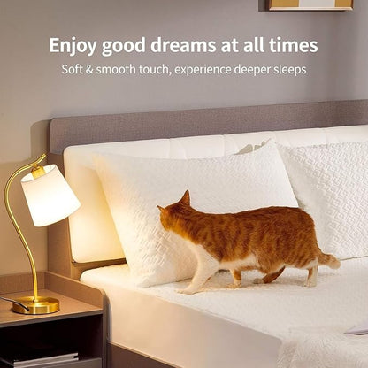 CoolShields Pillow Protector (2 Pack) Queen – Waterproof Zippered Pillow Covers, Hypoallergenic, Premium Pillowcase Encasement for Better Sleep
