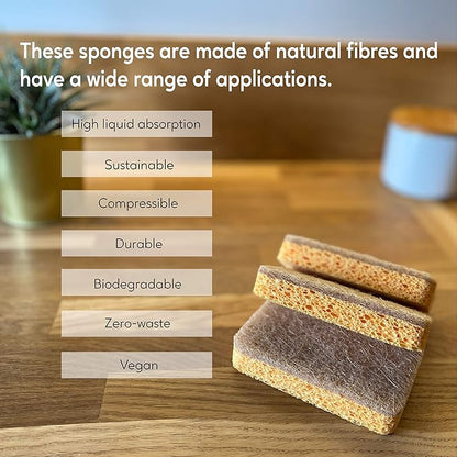 eplanita Natural Plant Based Scrub Sponges (6 Pack), Non-Scratch, Biodegradable Eco Scourers for Kitchen and Bathroom