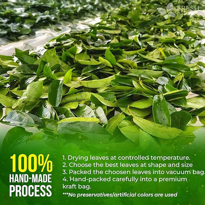 FreshDrinkUS, Premium 30+ Soursop Graviola Dried Leaves, Natural Whole Soursop Leaves, Wildcrafted, Hoja Guanabana, Loose Leaf Herbal Tea, No Gluten, Vegan