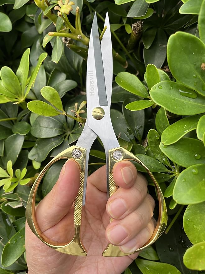 Indoor Plant Shears and Garden Scissors, Houseplant Shears Made of Japan SK5 Stainless Steel, Flowers Herbs and Plant Cutters, Clippers, Trimmers, Loppers, Bonsai Plant Pruning Scissors