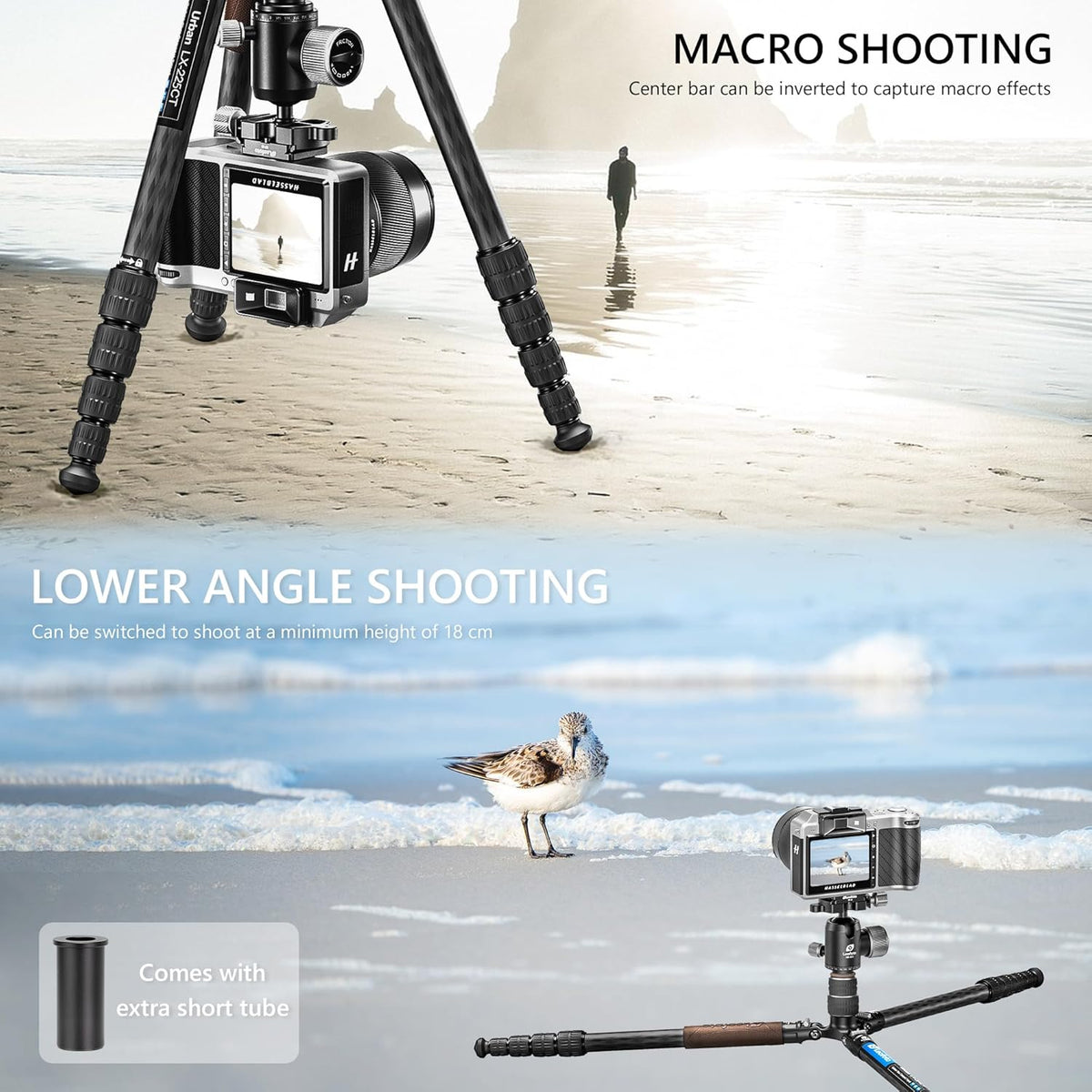 Lightweight Carbon Fiber Reverse Folding Travel Tripod with Ball Head, Removable Center Column, Folded Height 36cm, Maximum Load 6KG（LX-225CT+XB-32Q）