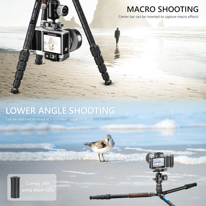 Lightweight Carbon Fiber Reverse Folding Travel Tripod with Ball Head, Removable Center Column, Folded Height 36cm, Maximum Load 6KG（LX-225CT+XB-32Q）
