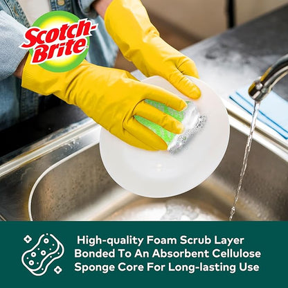 Scotch-Brite ocelo Non-Scratch Scrub Sponges, Assorted Designs, Scratch-Free for Nonstick Cookware & Dishes, Kitchen & Bathroom Use, Reusable Multi-Surface Cleaning Sponges (12 Count (Pack of 3))