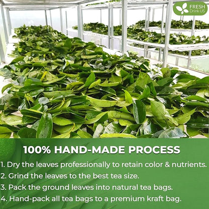 FreshDrinkUS, Premium 75 Soursop Graviola Leaf Tea Bags, 100% Natural and Pure from Soursop Leaves, Handmade, Made With Natural Materials-Corn Fiber Tea Bag, Sugar/ Caffeine/ Gluten Free, Hoja Guanabana Tea