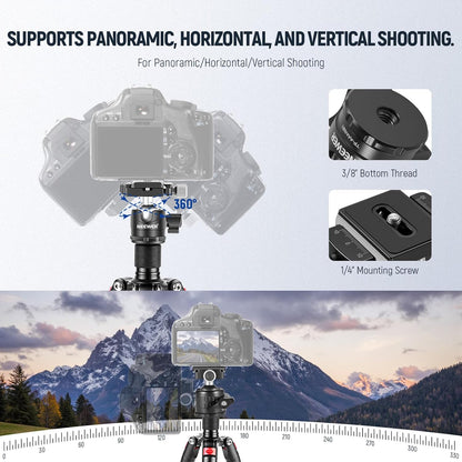 NEEWER Portable Desktop Mini Tripod Aluminum Alloy 20''/ 50cm Desk Tripod with 360 Degree Ball Head, 1/4 inch Quick Shoe Plate for DSLR Camera Video Camcorder, Load up to 11 pounds/5 kilograms