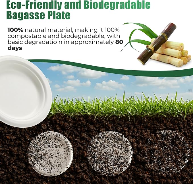 250 Pcs Biodegradable Paper Plates Set Disposable Dinnerware Set, Eco Friendly Compostable (EXTRA LONG UTENSILS), Utensil include, Forks, Knives and Spoons for Party andBirthday party, camping
