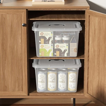 4 Packs 20 L Clear Plastic Storage Bins, Stackable Organizer Containers with Lids, Latching Box with Handle