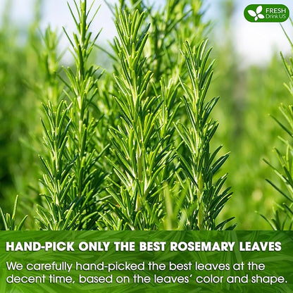 FreshDrinkUS, Premium 40 Rosemary Leaf Tea Bags, 100% Natural and Pure Rosemary Dried Leaves, Pure Herbal Tea, No Additives, No Caffeine, No Gluten, Vegan.
