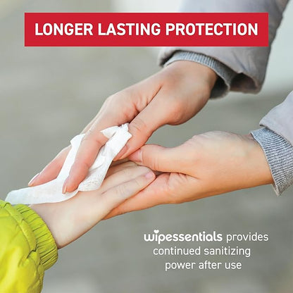 WipeEssentials Hand Sanitizer Wipes, Hand Wipes for Adults and Kids - 90 wipes - 3 Packs of 30ct Hand Sanitizing Wipes, Travel Essentials