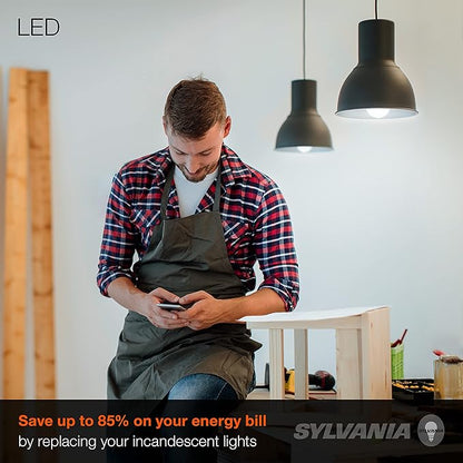 Sylvania LED A19 Light Bulb, 100W Equivalent, Efficient 14W, 1500 Lumens, Frosted Finish, Daylight - 4 Pack (78103)