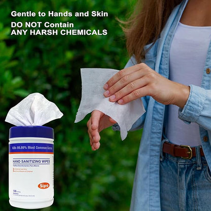 SIPA Hand Sanitizing Wipes 100 WIPES/CANISTER, Soft Textured Wipes, Fresh Scented, (24 CANISTERS)