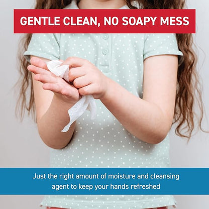 WipeEssentials Hand Sanitizer Wipes, Hand Wipes for Adults and Kids - 90 wipes - 3 Packs of 30ct Hand Sanitizing Wipes, Travel Essentials