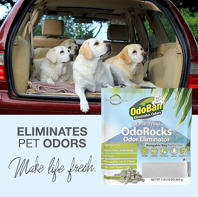 OdoBan Air Purifying OdoRocks Natural Odor Eliminator Made from Natural Volcanic Rocks, Made in the USA, Fragrance Free, 6-Pack, 2 Pounds Each